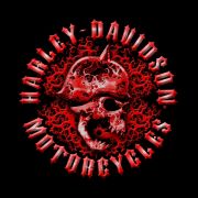 Blood-Skull