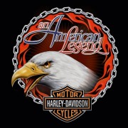 H-D® Eagle Chain