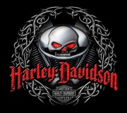 Skull V-Twin Art for the H-D®Dark Custom Series