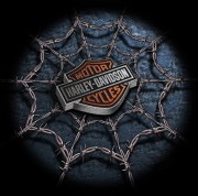 "Bar and Shield" Art for the H-D® Dark Custom™ Series