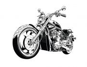 HD®-V-Rod